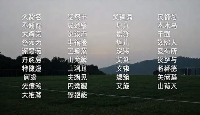 提示词智库：版本对比的业务发展趋势
